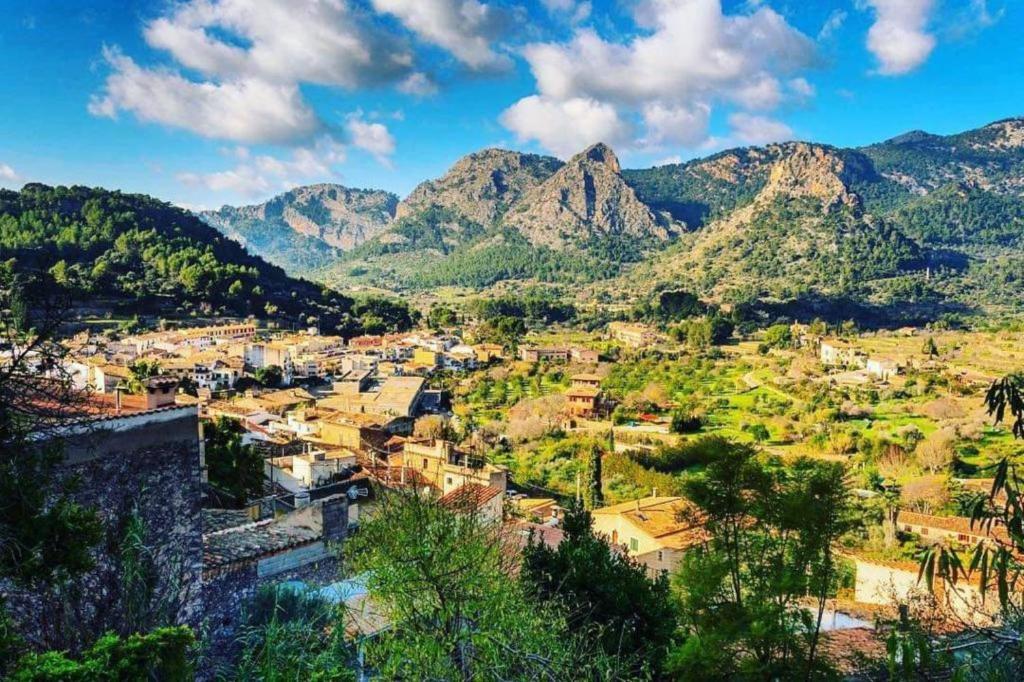 Der Stadtteil Pòrtol auf Mallorca: Reiseführer durch das angesehene Viertel