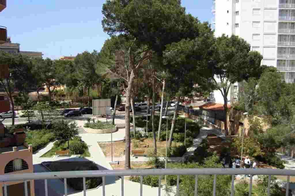 Günstiger Immobilienkauf auf Mallorca