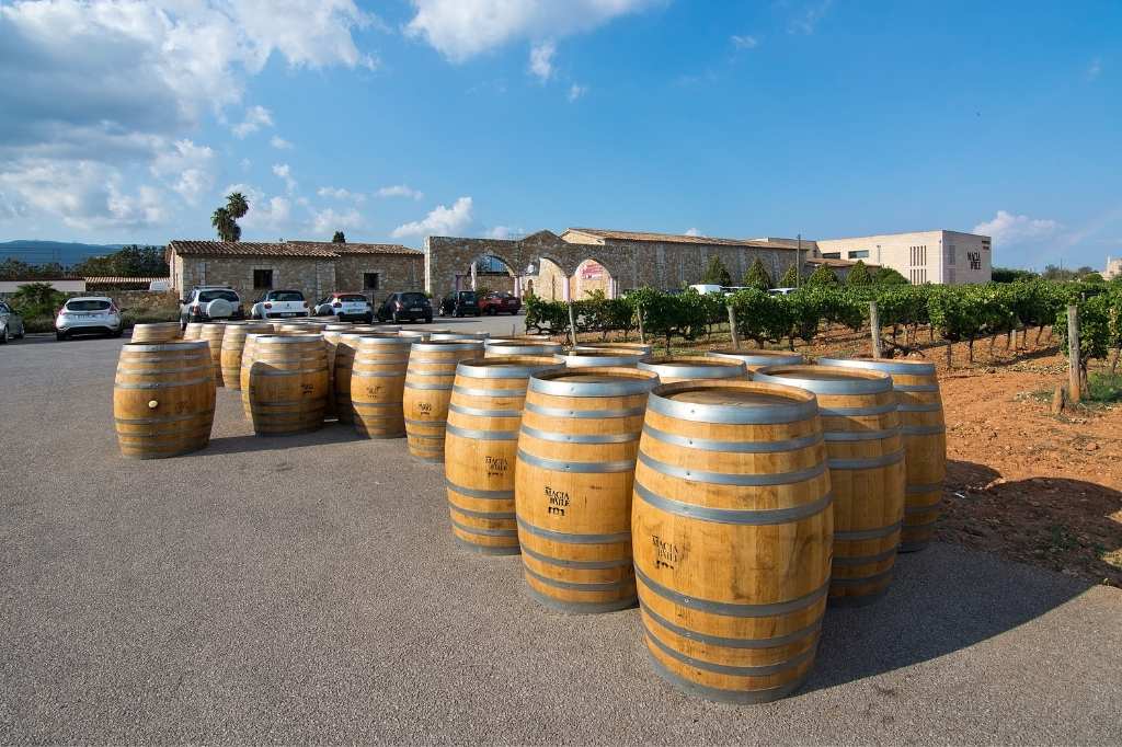 Weinfässer in Macia Batle, dem ältesten Weinhersteller in Binissalem, Mallorca