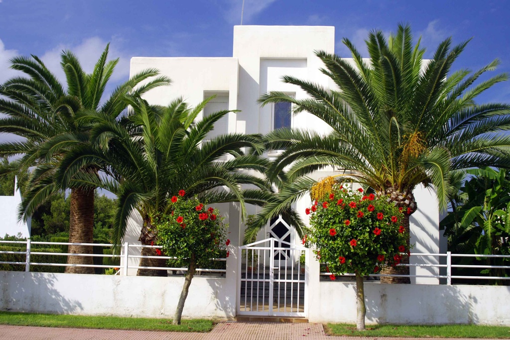 Haus mit Palmen und Hibiskus auf Mallorca