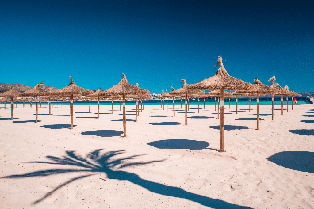 Strohschirmen am Strand von Playa de Muro
