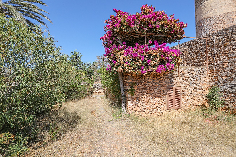 Eine alte Finca mit einer Mühle in wunderschöner Lage in Felanitx