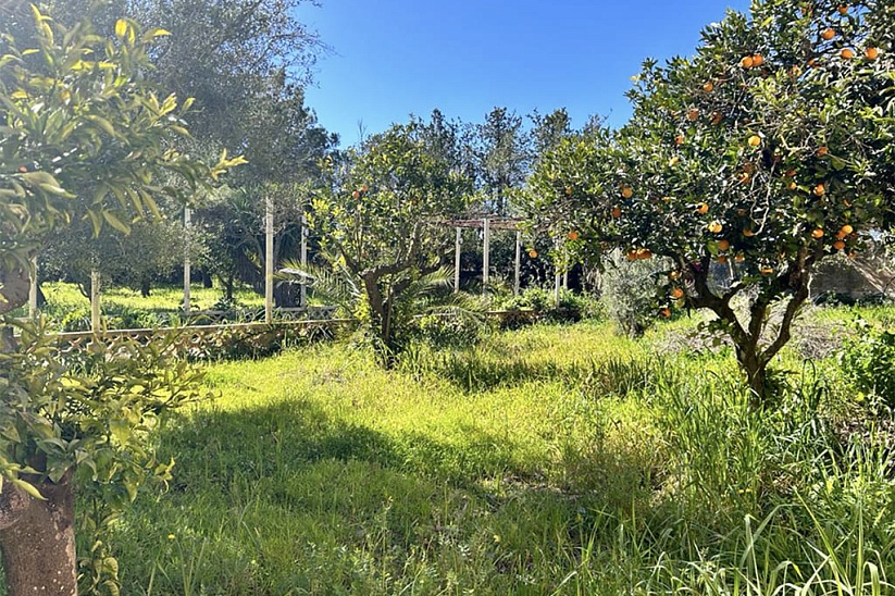 Haus mit großem Garten zum Renovieren in Manacor