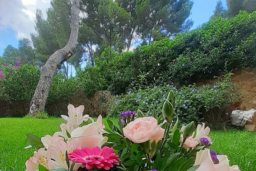 Geräumige Wohnung mit Garten in einer Luxusanlage in Sol de Mallorca