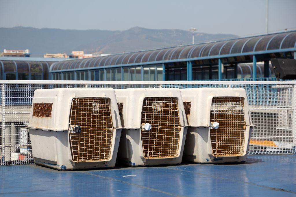 Auf dem Deck der Fähre sind Käfige für den Transport von Haustieren befestigt