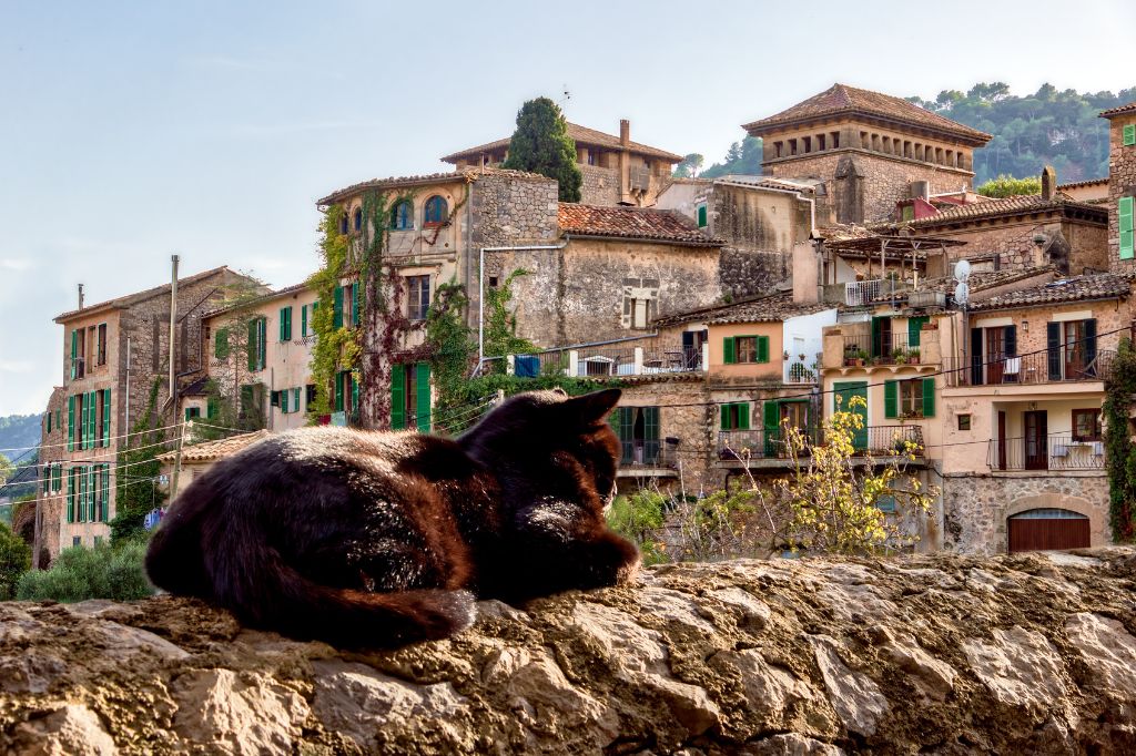 Katze sonnt sich auf einer alten Stadtmauer in Valldemosa