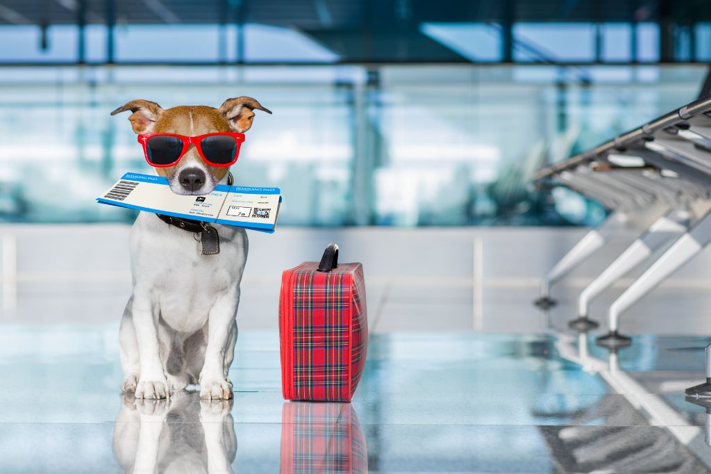 Ein Hund am Flughafen mit einem Ticket im Maul sitzt neben einem Koffer